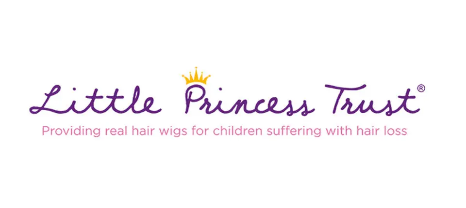 Little Princess Trust banner.jpg