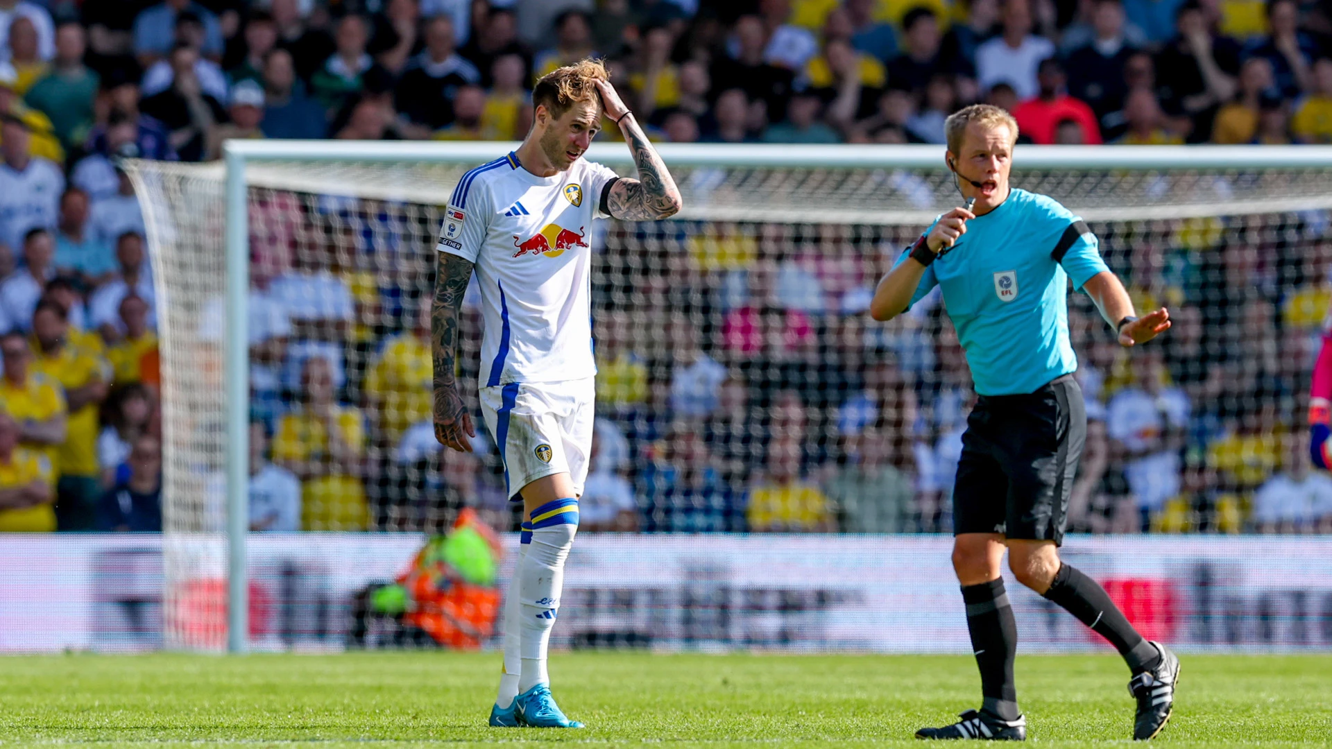 Gavin Ward referee