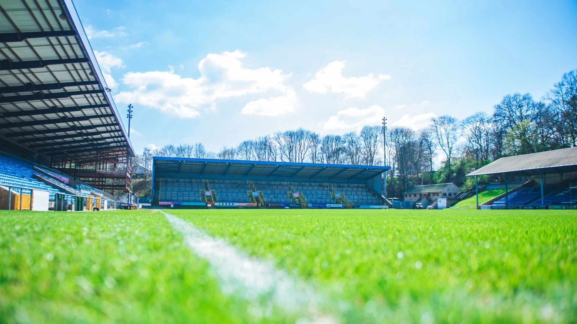 The Shay