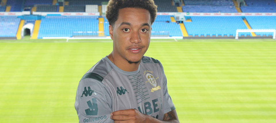 Helder Banner 004.png