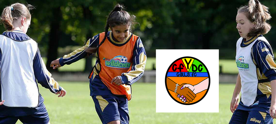 New Wildcats Banner.png