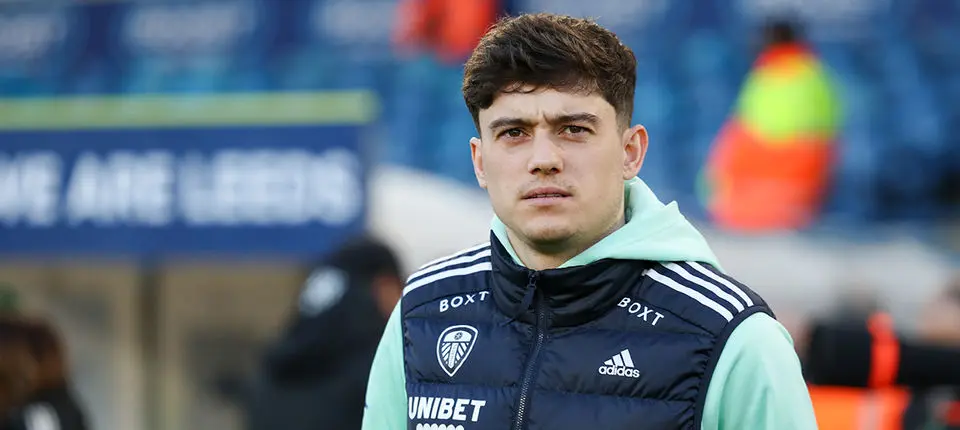 Dan James Hull City banner.jpg