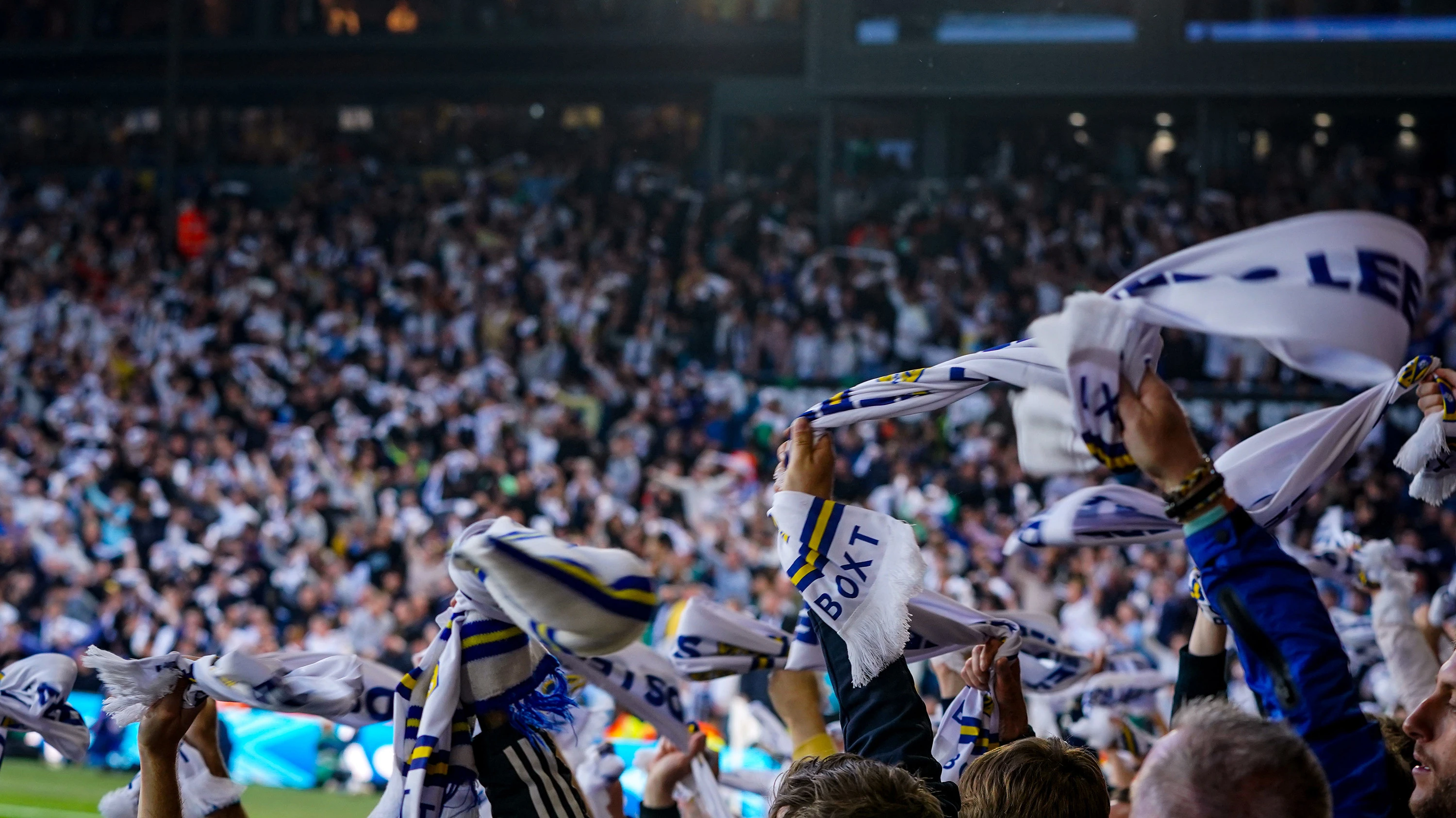 Fans Scarf Image