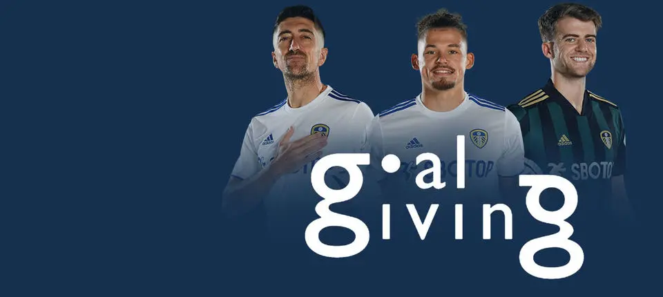 web Story Goal Giving.jpg