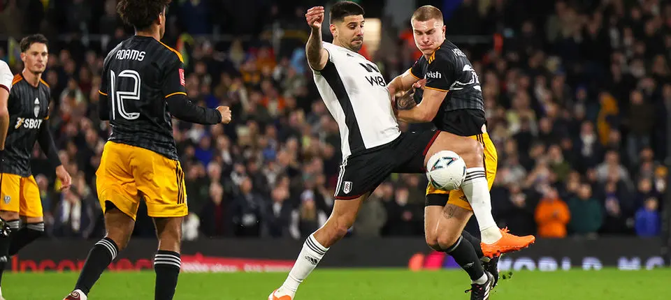 AAA BANNER 222222.jpg