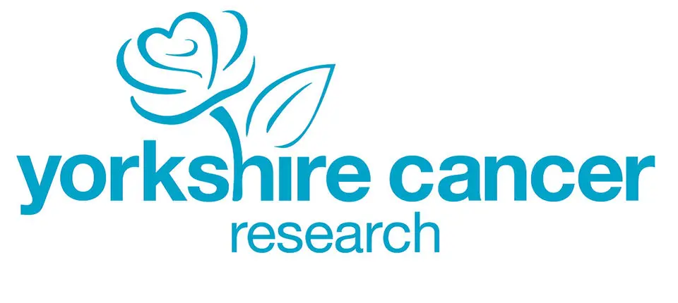 YCR logo banner.jpg