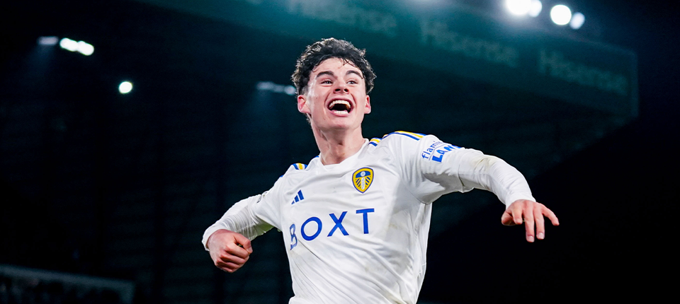 Archie Gray Banner v2.png