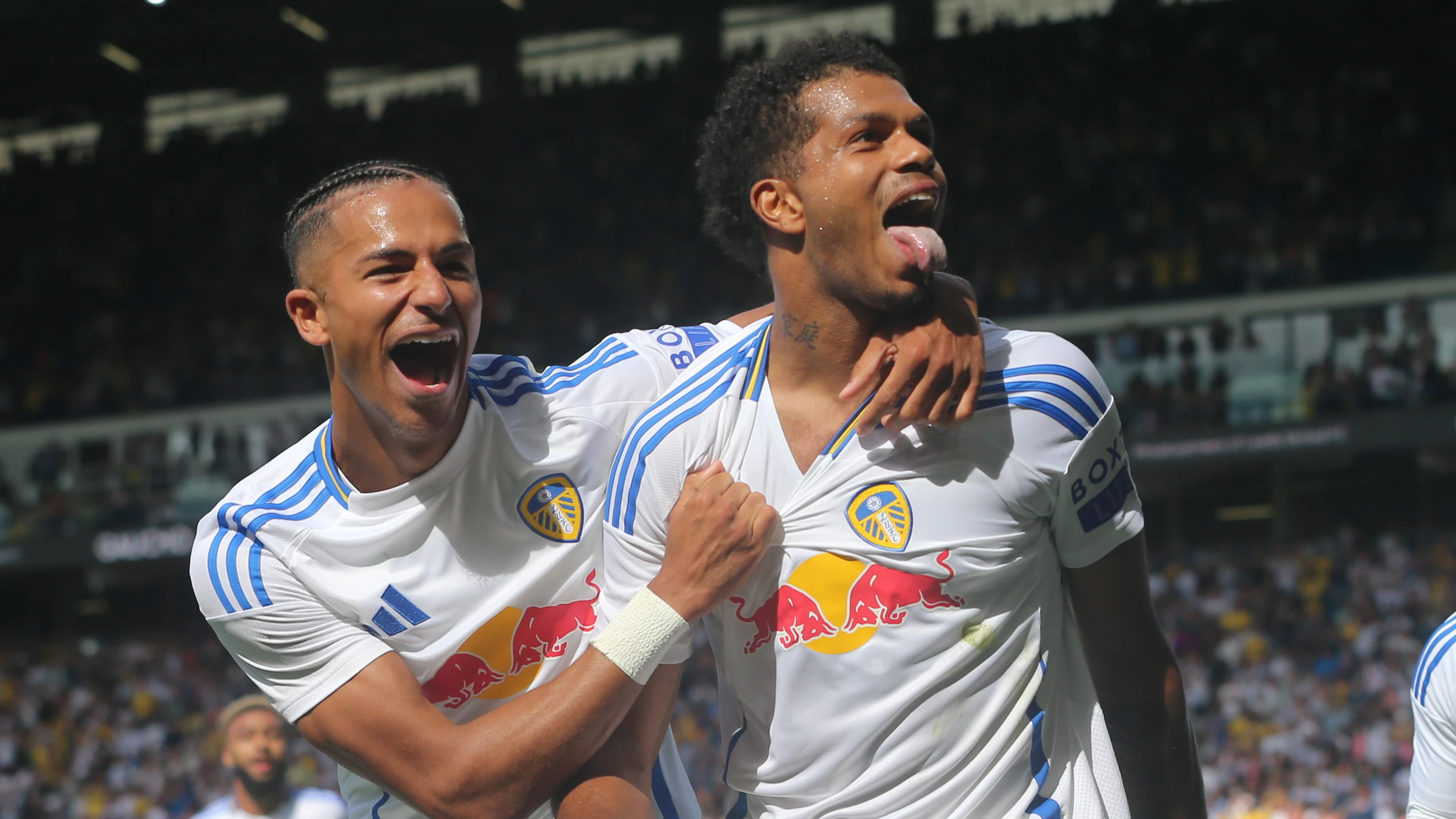 Georginio and Mateo Josephy Celebrating