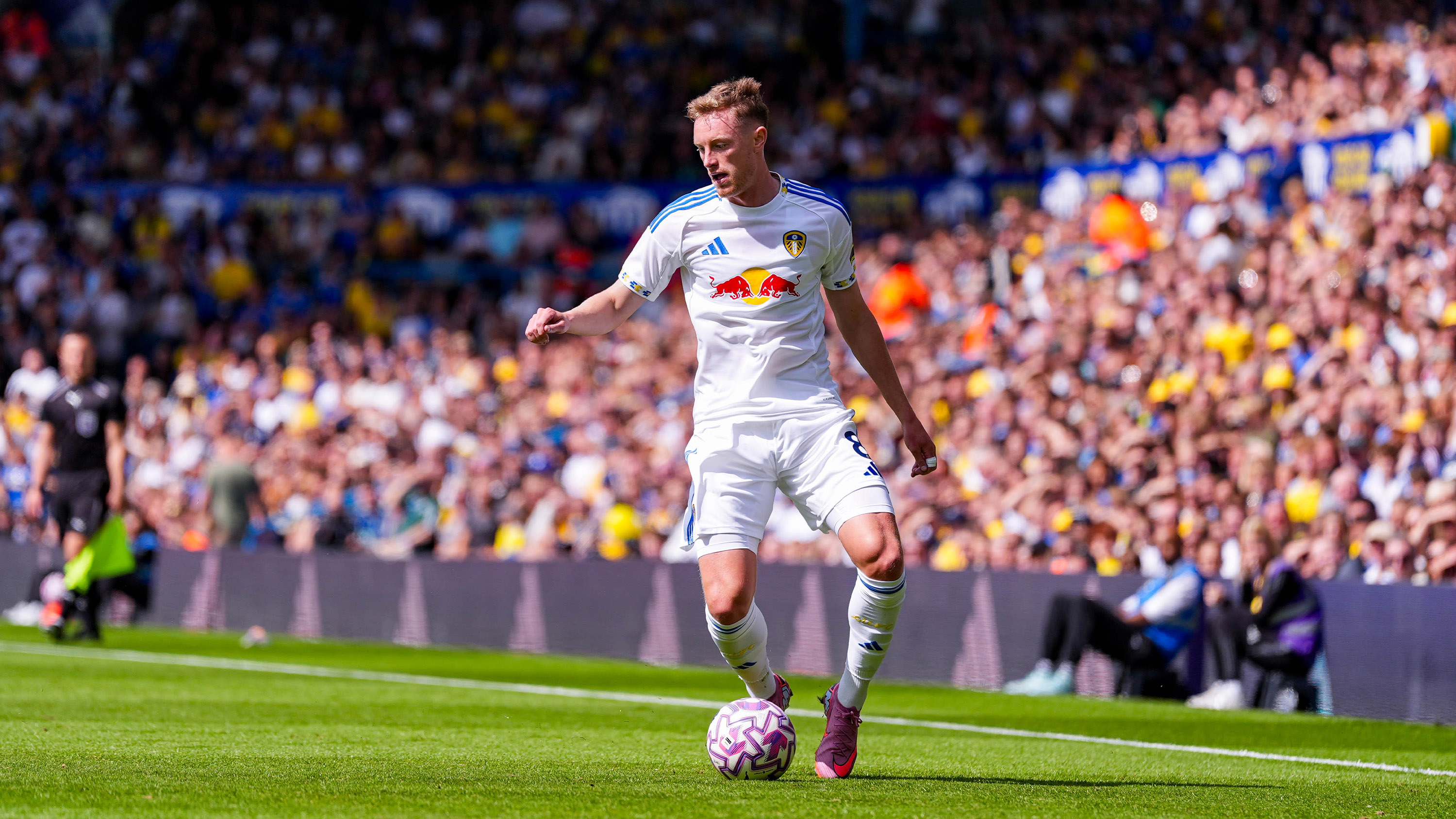 Villarreal Gallery 15