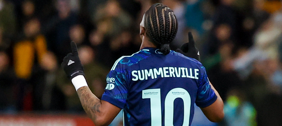 Summerville Banner (1).png