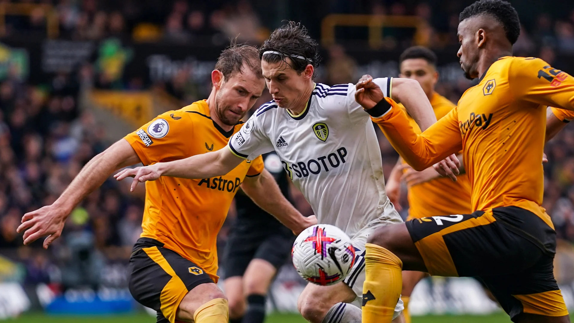 Joe Gelhardt Returns To Hull City On Loan Leeds United joe-gelhardt-returns-to-hull-city-on-loan-leeds-united