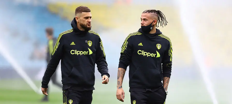 Wolves home team banner.jpg