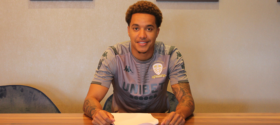 Helder Banner 001.png