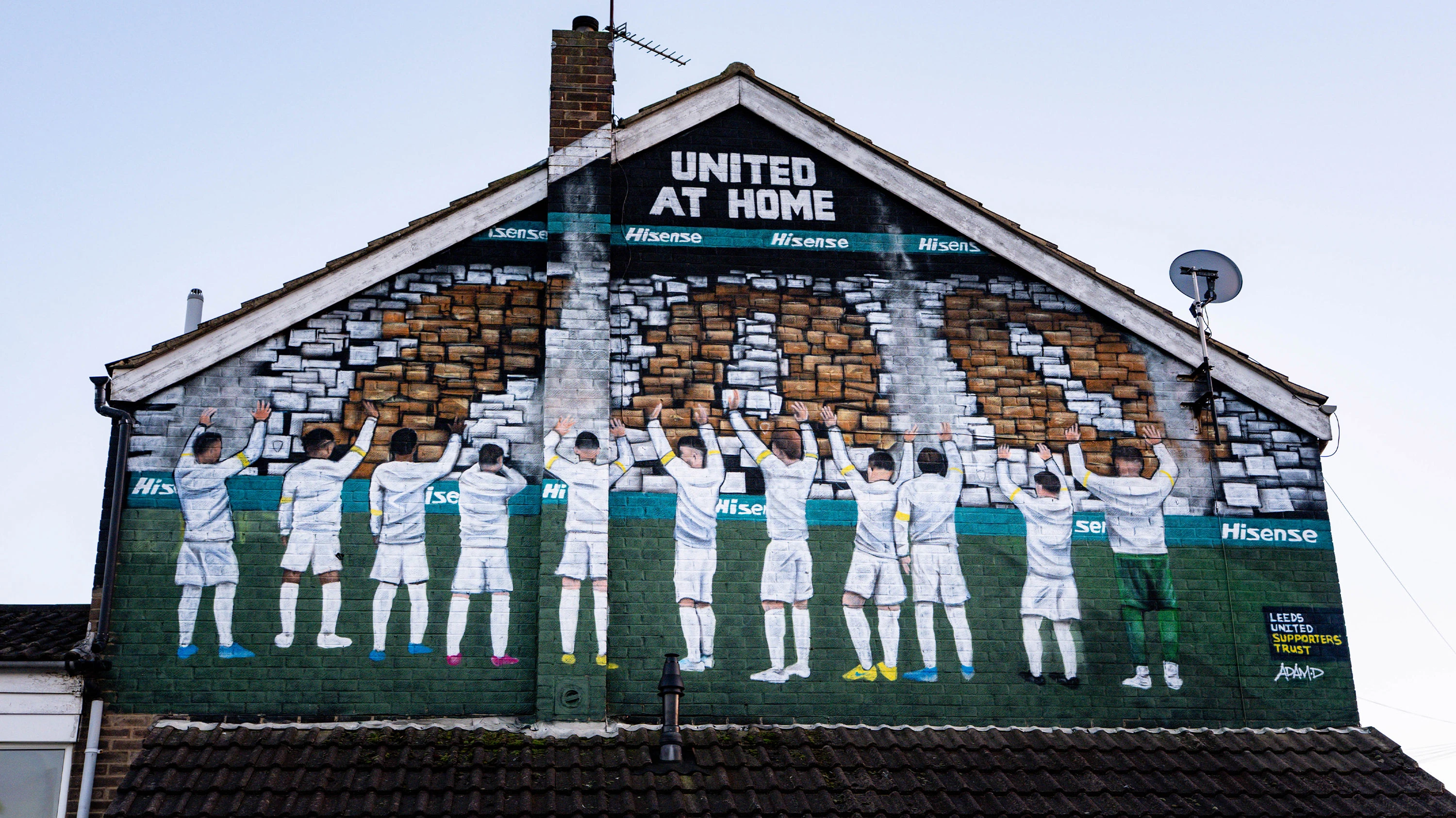 Hisense United at Home Mural