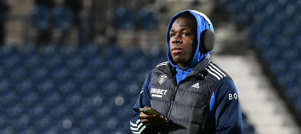 Willy Gnonto WBA banner.jpg