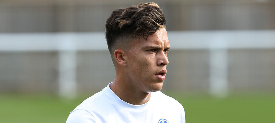 Kun Temenuzhkov Web 2.jpg