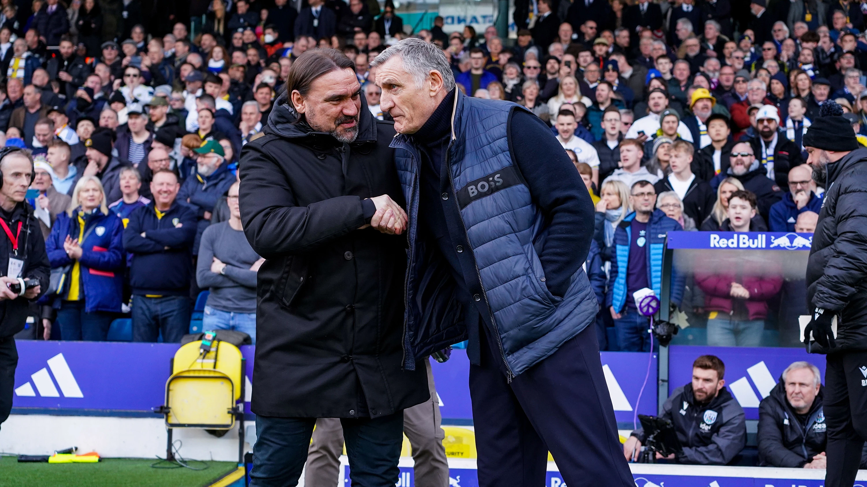 Daniel Farke vs WBA (1)