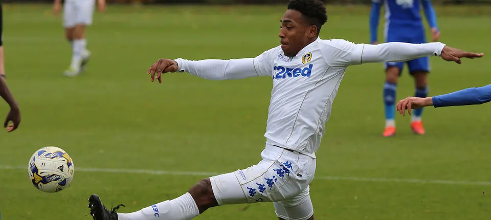 Mallik Wilks Web 4.jpg