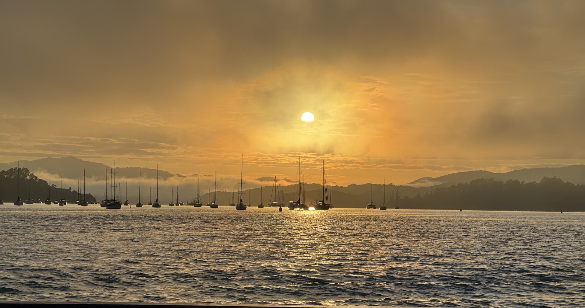 2025 Photo Competition Winner Coastal Category