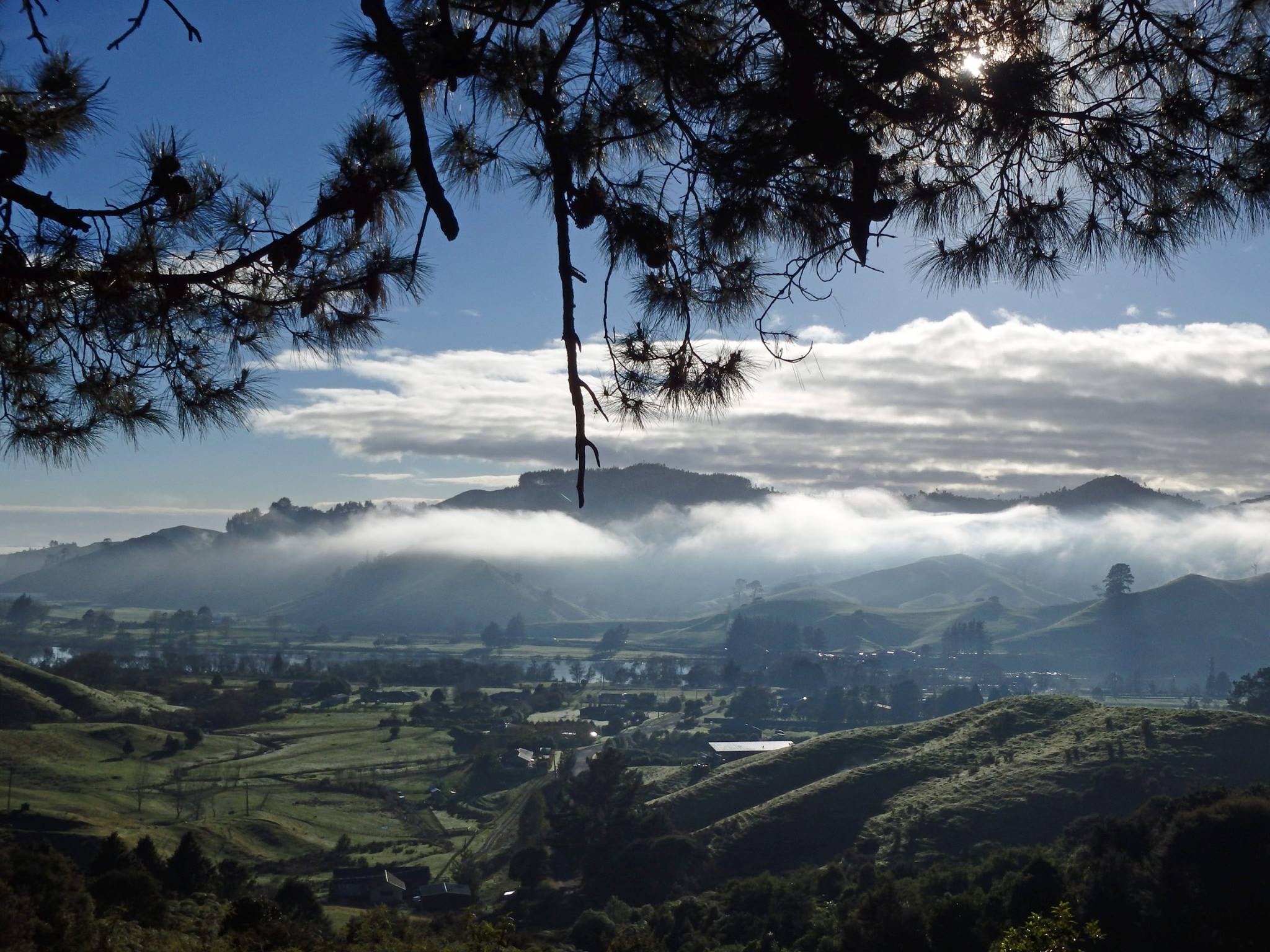 20024060 1712853945426675 2359235259834304636 o - Copy