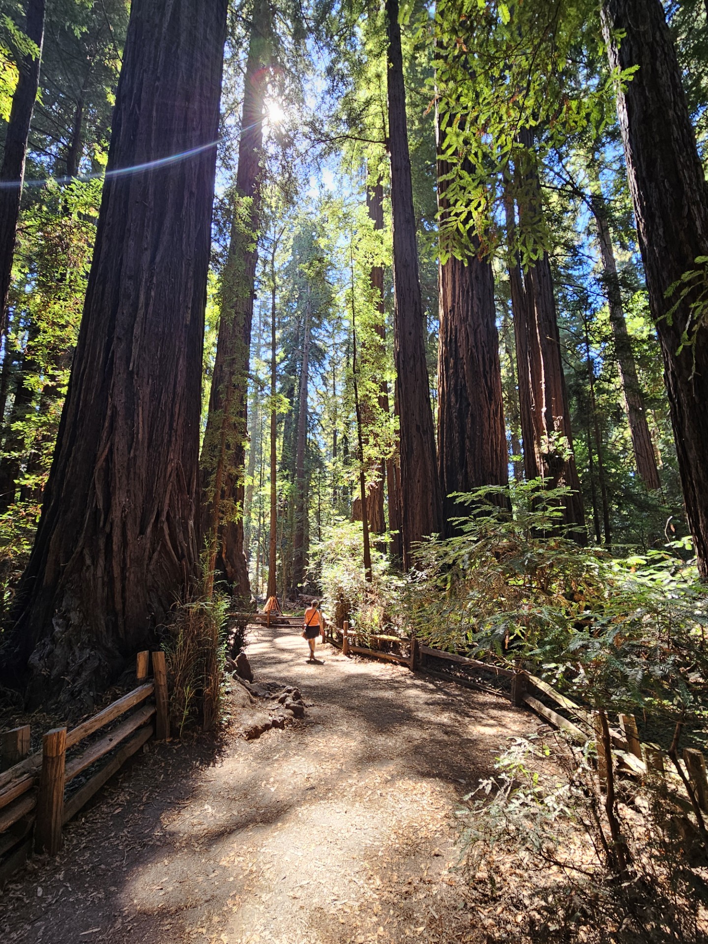 Winner of Judge-s Choice Flora Fauna Fungi Category Vaughan Smith