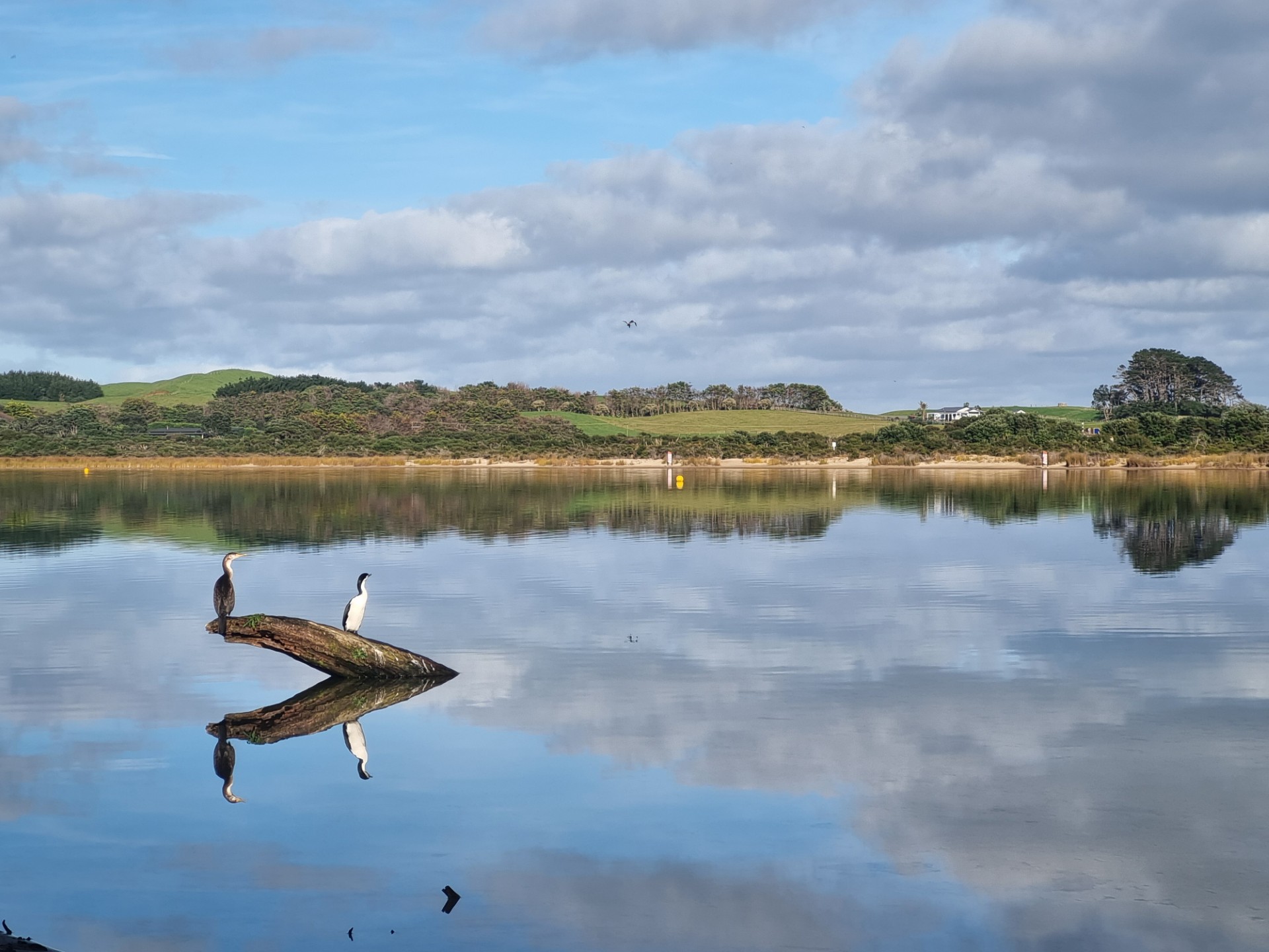 Winner of People-s Choice Flora, Flora, Fungi Category - Anna Yong
