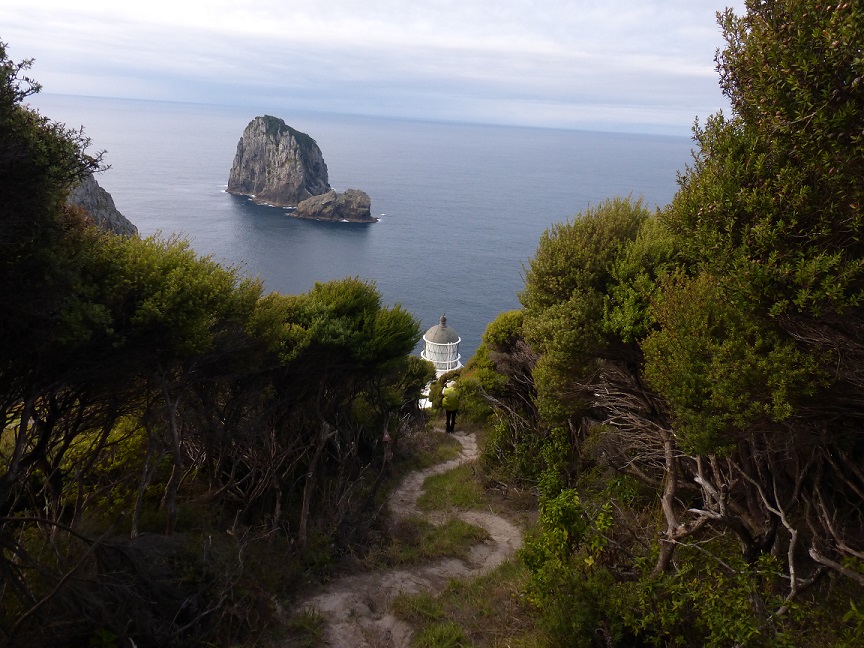 Cape Brett