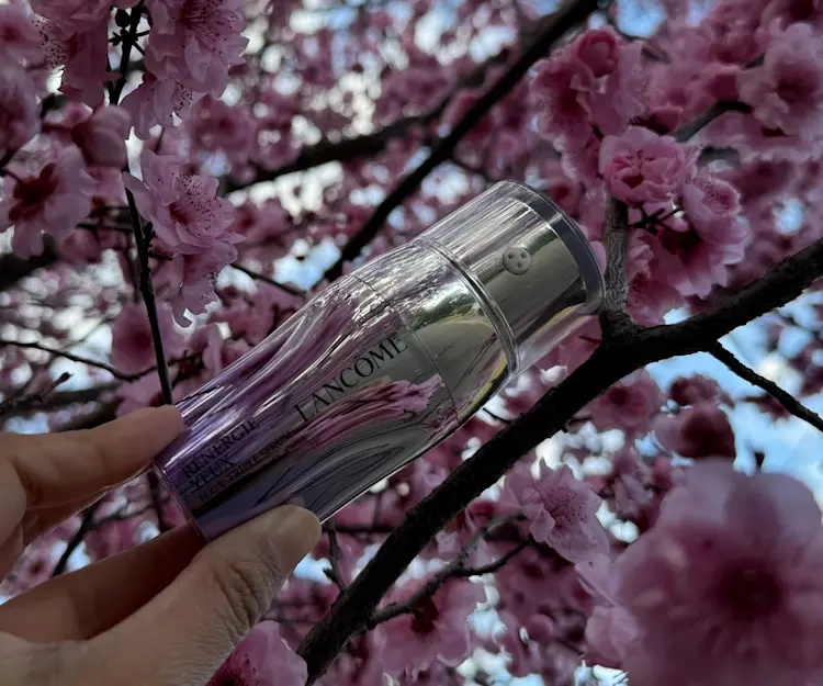 adore beauty article image