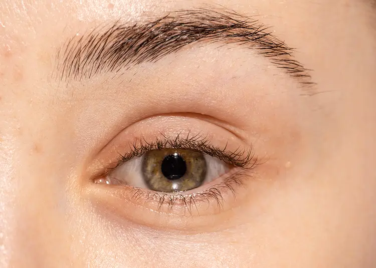 adore beauty article image