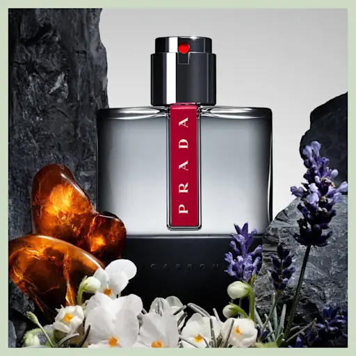 Discover Men's Fragrance