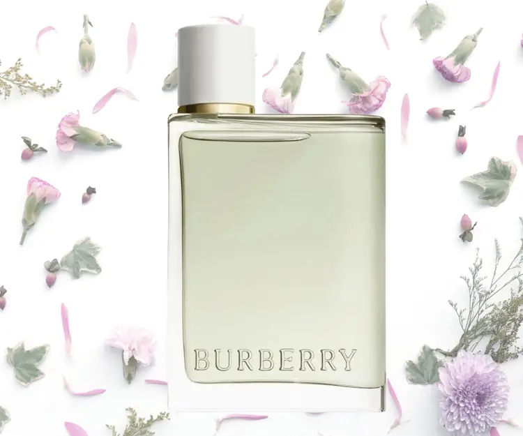 adore beauty article image