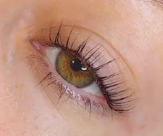 Beauty IQ Article - Lash Lift Before & After Photos - Adore Beauty