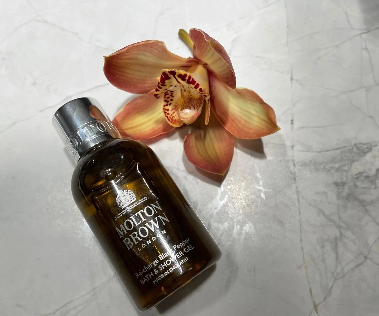 adore beauty article image