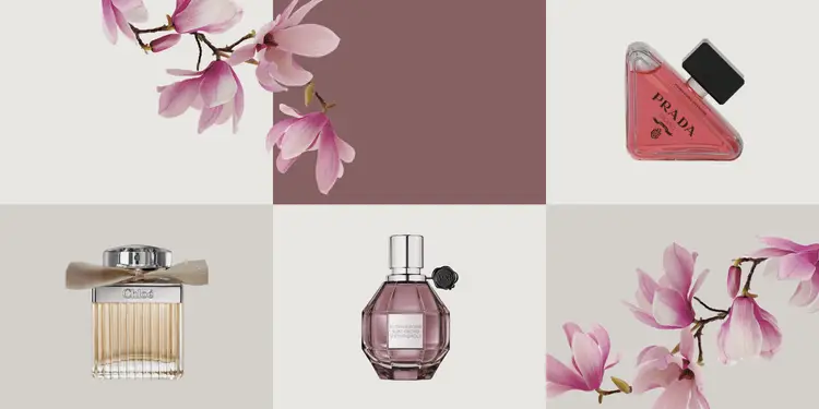 adore beauty article image