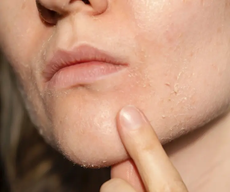 adore beauty article image