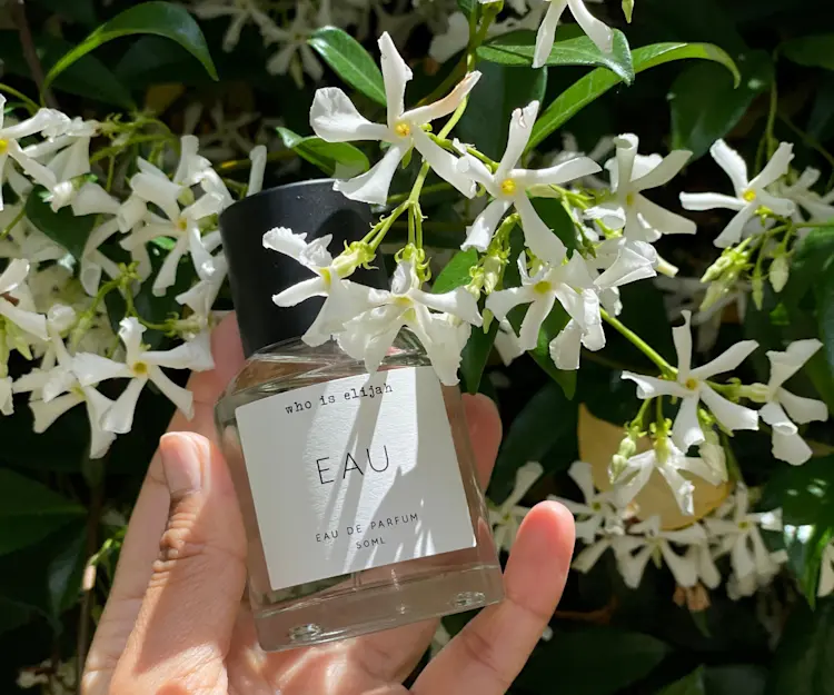 adore beauty article image