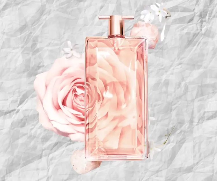 adore beauty article image