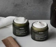 Beauty IQ Article - aveda-skin-care-products