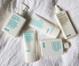 evo dry and damaged hair routine products 
