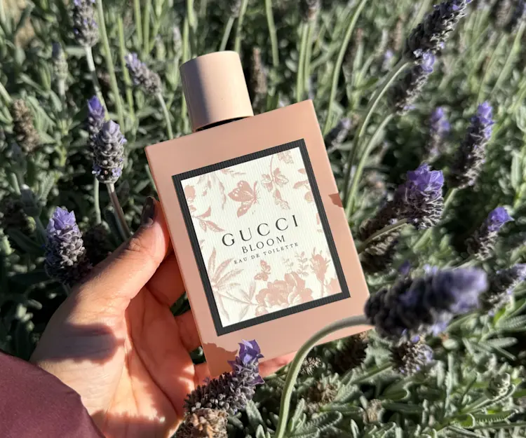 adore beauty article image