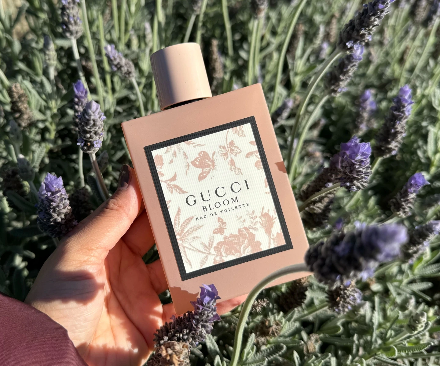 adore beauty article image