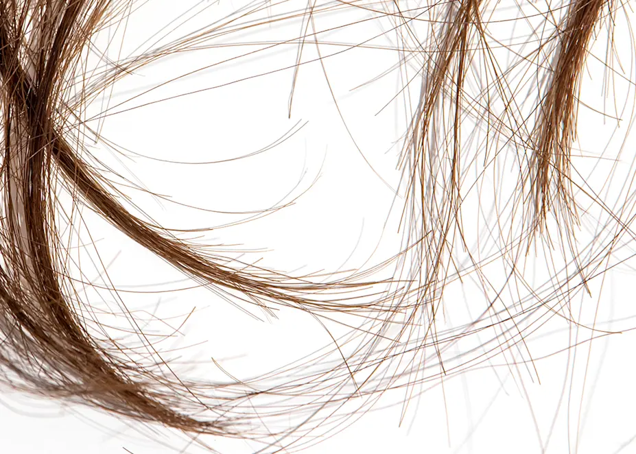Our Favourite Treatments For Frazzled Split Ends