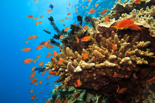 Microbeads: Why Shouldn't You Use Them?