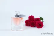 What are The Best Lancome Products?