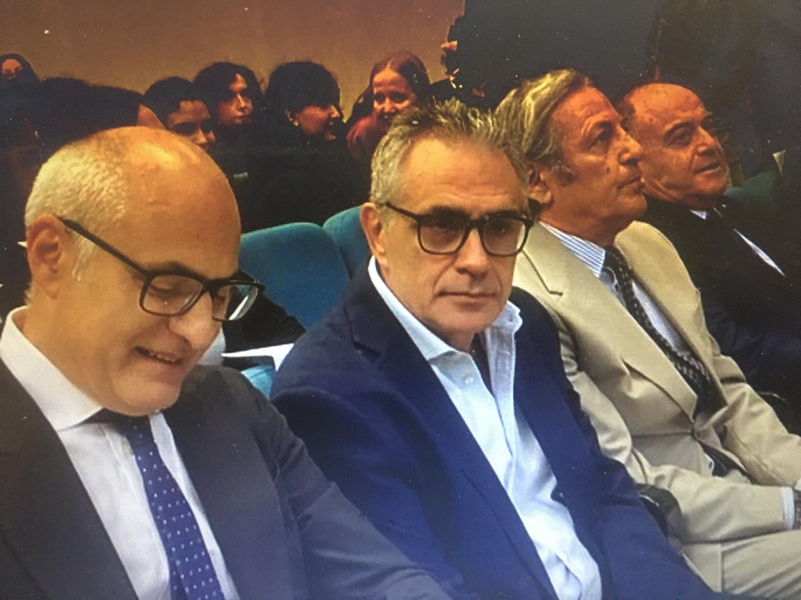 Profilo pliniano 2025