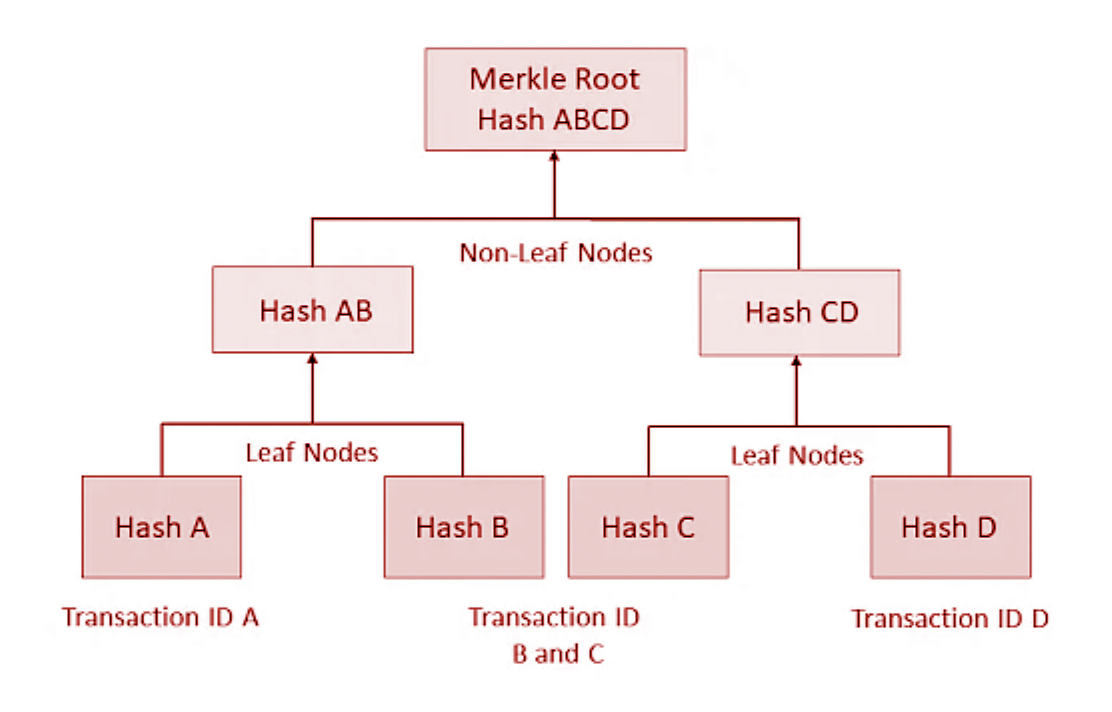 boitcoin blockchain and merkle root