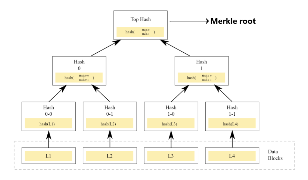 Merkle Tree In Blockchain