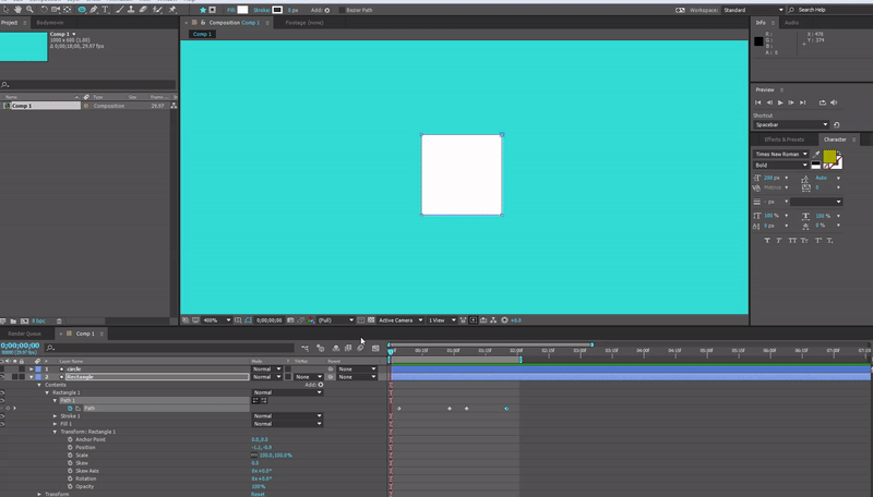 05 Animation
