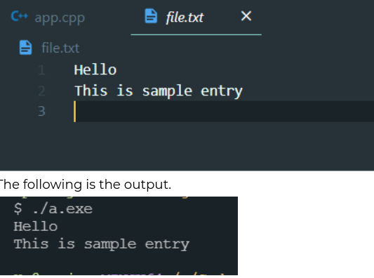 C++ File handling