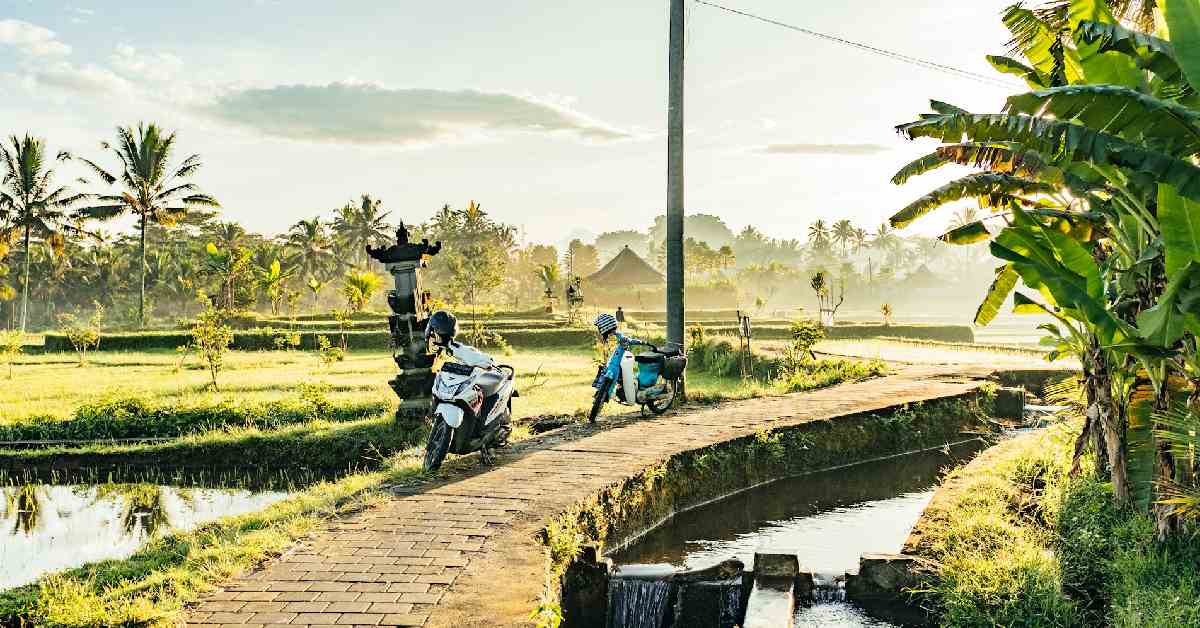 Here Are 7 Best Scooter Rides in Bali with Epic Scenery - Cinchy Blog